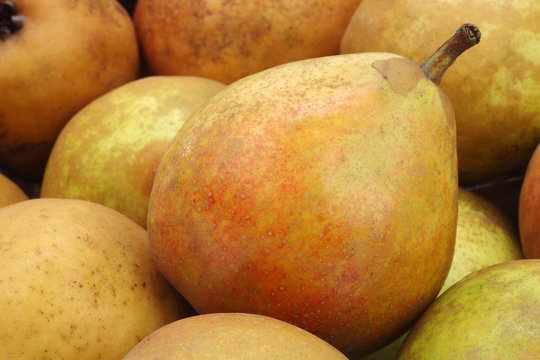 background of cut cooking pear "Gieser Wildeman"