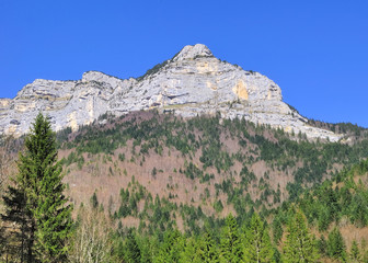 Fototapeta na wymiar montagne rocheuse entourée de forêt