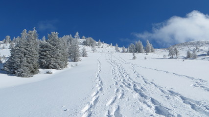 Fototapeta na wymiar Schneeschuhtour