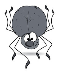 Funny Spider Vector
