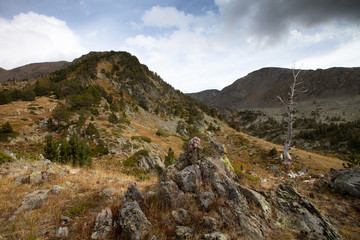Landscape. Mountain, forest, clouds, dry grass