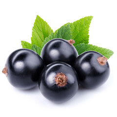 Black currant