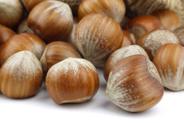 fresh hazelnuts on a white background