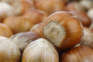 background of fresh hazelnuts