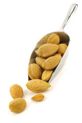 tasty almond nuts and a peeled one on a metal scoop