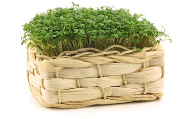 fresh watercress in a woven basket on a white background