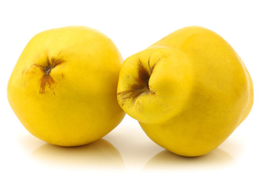 Two quince fruits "Cydonia oblonga" on a white background
