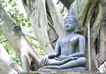 Buddha statue under the big green tree, Thailand