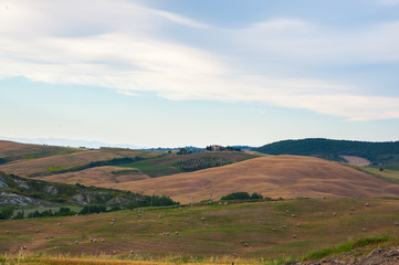 Fototapeta na wymiar Landscape panorama, hills and meadow
