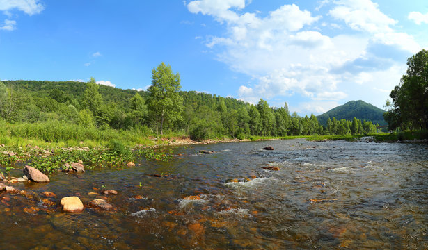 landscape with mountain river at summer