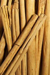 Cinnamon sticks