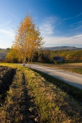 Fototapeta na wymiar Road through autumn fields, Poland.