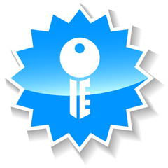 Key blue icon