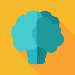 Cauliflower flat icon with long shadow