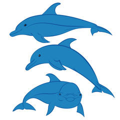 dolphins