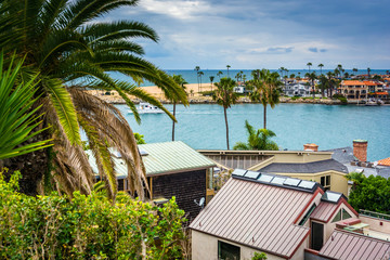 Fototapeta na wymiar Houses and view of Newport Beach, from Corona del Mar, Californi