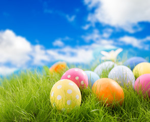 Easter eggs in grass