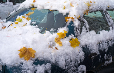 Leaves and snow on car exterior