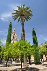 Mosque&ndash;Cathedral of C&oacute;rdoba