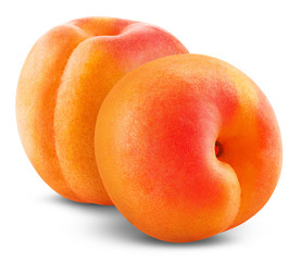 Apricot fruit