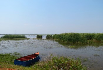 Boat near a paddy field