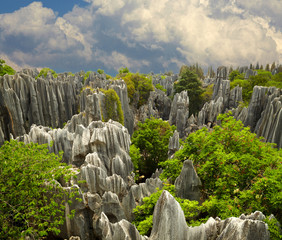 Stone forest Shi Lin. National park in Yunnan province, China