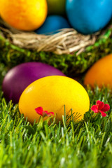 Fototapeta na wymiar Easter eggs in a nest - easter decoration