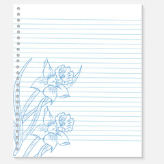 sketch of a flower on a notebook sheet