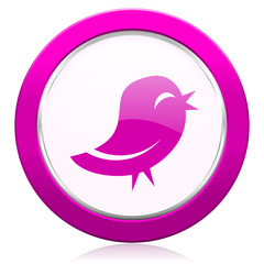 twitter violet icon
