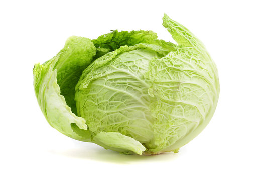 cabbage