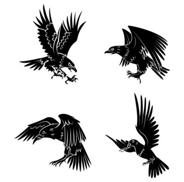 Eagle,Dove and Raven