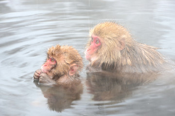 Naklejka premium 親子でお風呂