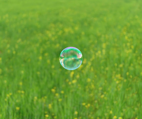 Summer soap bubble