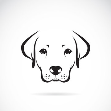 Vector of a dog labrador on white background. Pet. Animal.