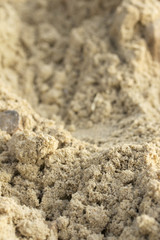 Wheel tracks on the soil.