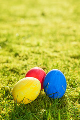 Easter eggs lying on meadow