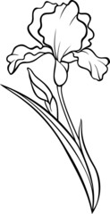 Iris flower silhouette. Vector tattoo illustration