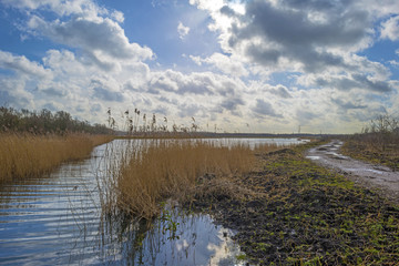 The shore of a lake in winter under a cloudy sky
