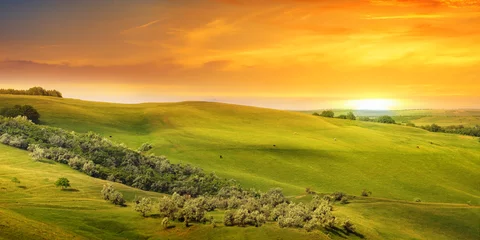 Foto auf Acrylglas scenic fields, hills and sunrise © alinamd