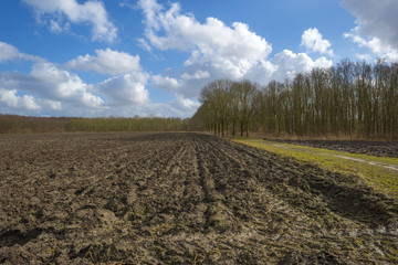 Obraz premium Footpath in a sunny field in winter