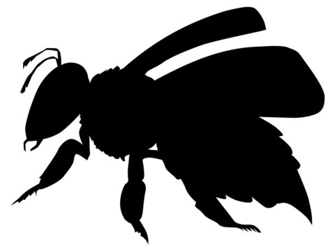 working bee