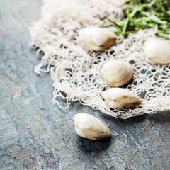 Food background with Seafood and Wine