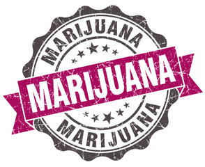 Fototapeta premium marijuana grunge violet seal isolated on white