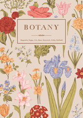Obraz premium Botany. Vintage floral card.