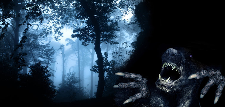 Monster in night forest