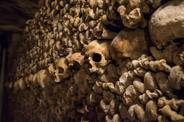 Naklejka premium Skulls and bones in Paris Catacombs