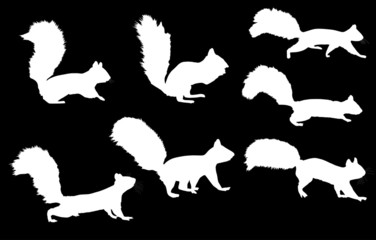 seven squirrel silhouettes onblack background