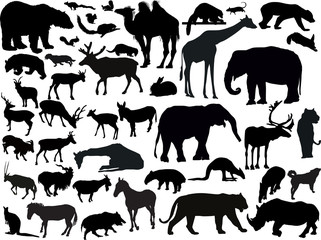 forty three isolated animals  silhouettes