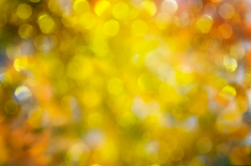 Sunny abstract autumn nature background