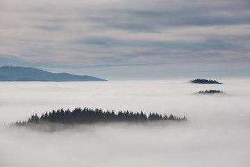 inversion fog in black forest, southwest Germany